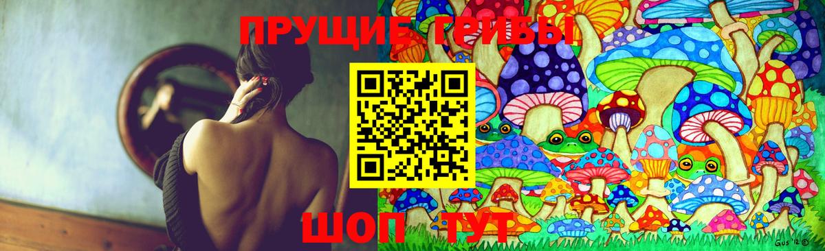 Галлюциногенные грибы мицелий  Вход с VPN  Галлюциногенные грибы мицелий  Кунгур 